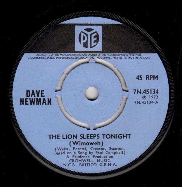 Dave Newman (3) - The Lion Sleeps Tonight (Wimoweh)