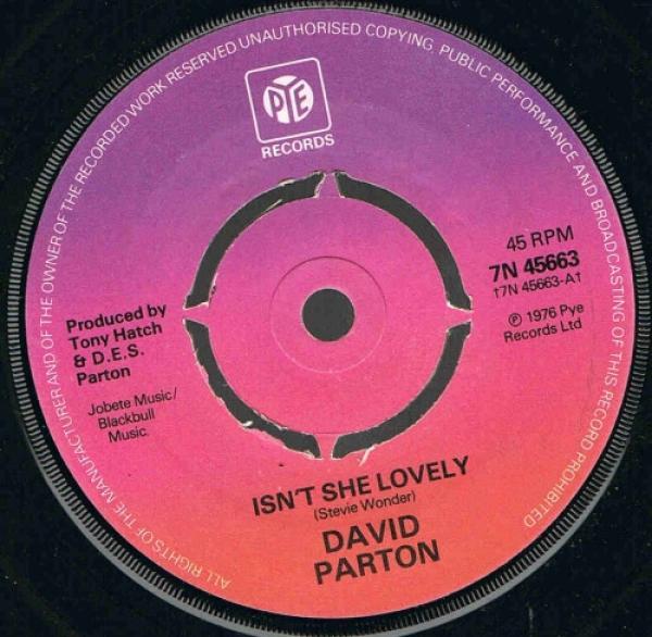 David Parton - Isn't She Lovely