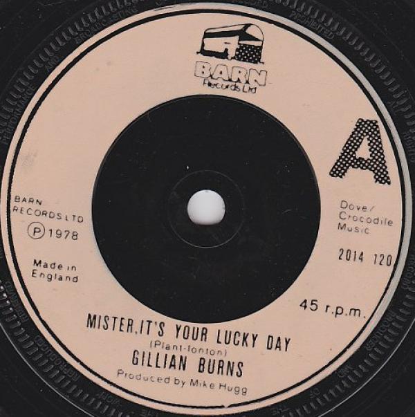 Gillian Burns - Mister, It's Your Lucky Day