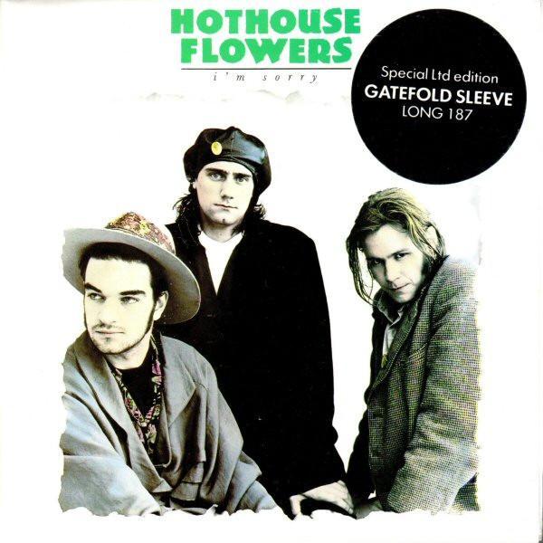 Hothouse Flowers - I'm Sorry