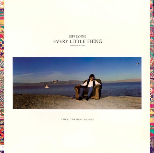 Jeff Lynne - Every Little Thing