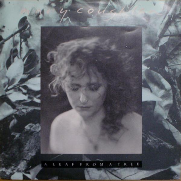Mary Coughlan - A Leaf From A Tree