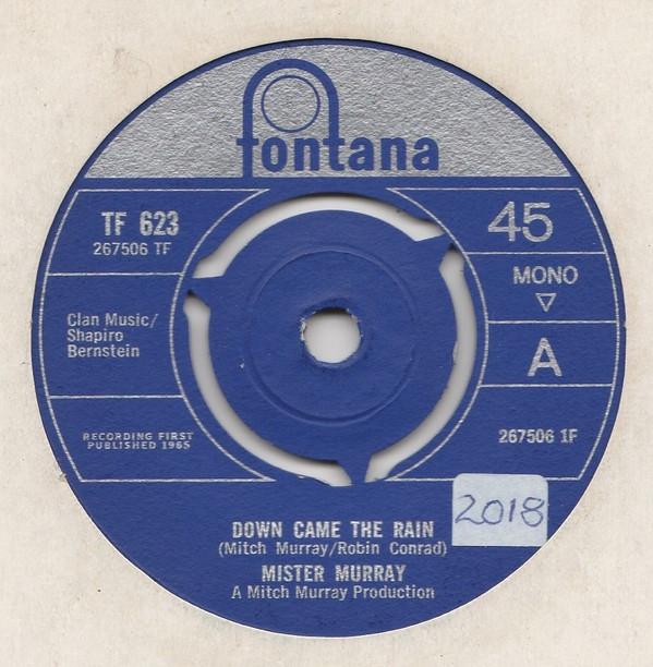 Mister Murray - Down Came The Rain