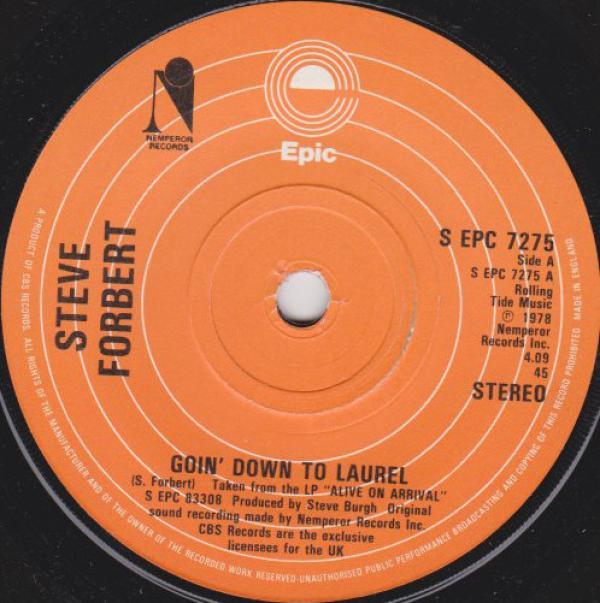 Steve Forbert - Goin' Down To Laurel
