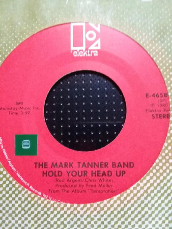 The Marc Tanner Band - Hold Your Head Up