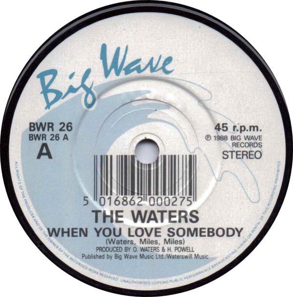 The Waters - When You Love Somebody