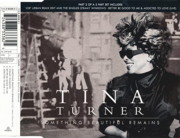 Tina Turner - Something Beautiful Remains