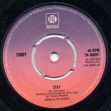 Tindy - Stay